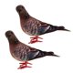 thumbnail image 4 of 2x falsas plumas artificiales de espuma palomas aves boda decoración adornos lugar, 4 of 5