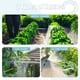 thumbnail image 3 of Pulverizador de jardín Giftsfaloy, batería de 7,5 L recargable por USB, 3 of 7