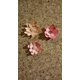 thumbnail image 2 of Matrices de corte DIY para scrapbooking, flores y hojas de artista, 92 x 108 mm, 2 of 6
