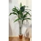 thumbnail image 3 of Planta Decorativa Arbol Dracena 120cm, 3 of 3