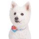 thumbnail image 3 of Collar para perro Blueberry Pet Floral con flor desmontable, tamaño mediano, 3 of 8