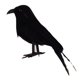 thumbnail image 3 of Cuervo Negro Pájaro Artificial Prop Adorno De Jardín Decoración De Fiesta De Halloween, 3 of 5