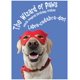 thumbnail image 1 of Tarjeta de Felicitación Glory To Dog – Cumpleaños de Labrador 13 cm x 18 cm, 1 of 9