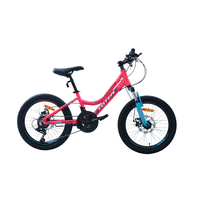 Totem - Bicicleta Mtb Aro 20 Modelo Elise Fucsia