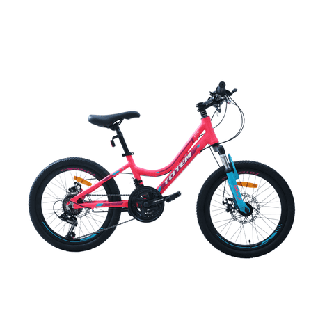 Totem - Bicicleta Mtb Aro 20 Modelo Elise Fucsia
