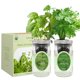 thumbnail image 2 of Kit de Cultivo Hidropónico de Hierbas Environet 2 unidades – Albahaca y Perejil, 2 of 6