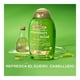 thumbnail image 2 of Shampoo Ogx Menta Extra 385 ml, 2 of 3