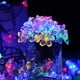 thumbnail image 3 of Guirnalda Solar Hada Flor Led Boda 12 Mtrs Color/d031c, 3 of 3
