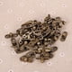 thumbnail image 5 of 12 piezas de cerradura decorativa para joyero, caja de madera, gancho de pestillo, hebilla de pestillo derecho, candado de cuerno con pestillo derecho y tornillos., 5 of 8