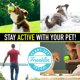 thumbnail image 4 of Juguete interactivo para perros Franklin Ready Set Fetch! ¡Pelota, 4 of 6