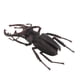 thumbnail image 2 of Juguetes De Animales Recurso Educativo Alta Simulación Insectos Realistas Figura I, 2 of 5