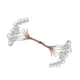 thumbnail image 4 of 200 Piezas De Espuma Artificial Holly Berry Flower Pearl Double Head Decor Sliver, 4 of 5
