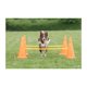 thumbnail image 2 of Set TRIXIE de conos Dog Agility Hurdle para principiantes y avanzados, 2 of 7