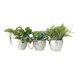 thumbnail image 1 of Planta Artificial En Macetero Cemento Para Colgar (Puede Tocar Cualquier Diseño), 1 of 3