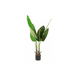 thumbnail image 1 of Planta Artificial 1.15m con Maceta, 1 of 3