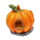 thumbnail image 2 of Decoración De Pecera De Calabaza, Artesanía, Escultura De Calabaza Para Acuario, Escritorio Del Hogar, 2 of 3