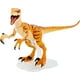 thumbnail image 1 of Jurassic World Toys Colección Ámbar Velociraptor Jurassic World Jurassic World Toys, 1 of 2