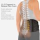 thumbnail image 3 of Cinturón de soporte lumbar BraceAbility para el dolor lumbar, 3 of 7