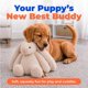 thumbnail image 2 of Juguete para Perro Best Pet Supplies Bunny Buddy Squeaky, 2 of 3