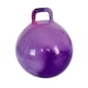 thumbnail image 1 of Pelota De Salto Con Mango Para Niños Y Niñas, Pelota De Ejercicio, Pelota Hinchable, Color Morado, 1 of 3