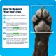 thumbnail image 3 of Zapatos para perros BarkBox amarillos talla S (6,8‑11,3 kg), 3 of 7