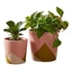 thumbnail image 2 of Set 2 Macetas Modernas Geométricas Suculentas Cactus ALJ, 2 of 3