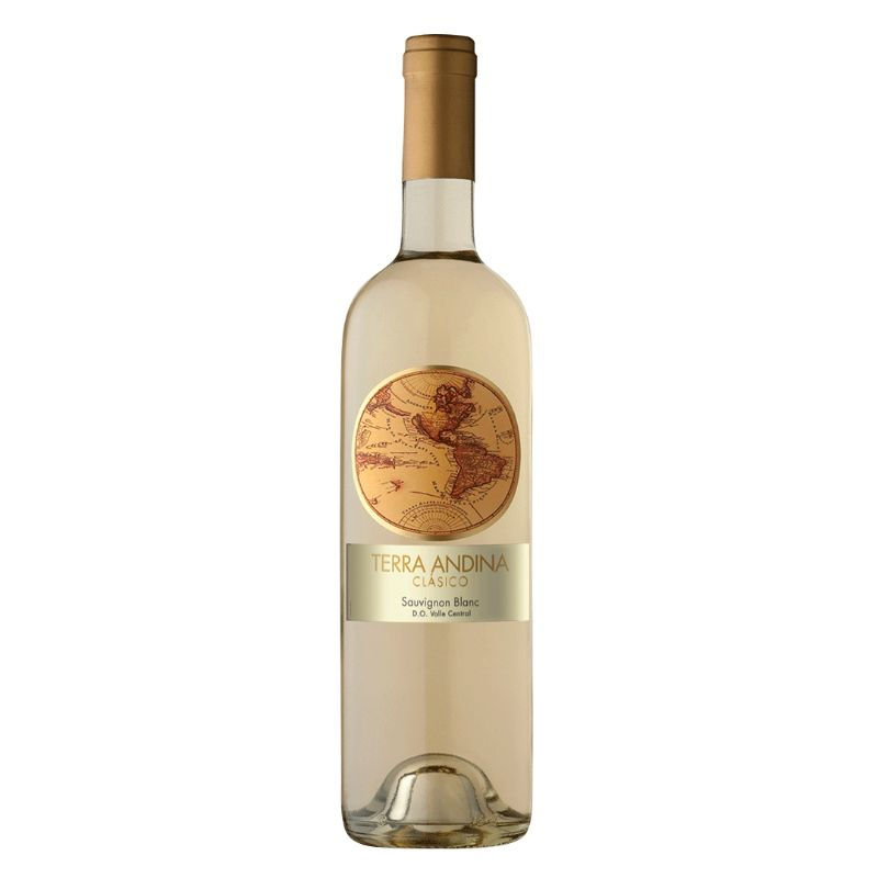 Vino Blanco Sauvignon Blanc Terra Andina Clásico Botella