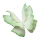 thumbnail image 2 of Mariposa Artificial 3D De 60 Cm Para Decoración De Bodas, Bricolaje, Escaparate, Color Verde, 2 of 3