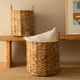 thumbnail image 2 of Canasto Tike L, 2 of 9
