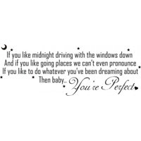 Rienda Libre Graphics - Decomural One Direction Perfect Song Lyrics Ws-40904