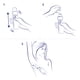 thumbnail image 4 of Desodorante Aerosol Dove Original Mujer, 150 ml, 4 of 6