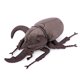 thumbnail image 1 of Peluche de peluche fabricado por ZHONGXIN, simulación Atlas Beetle, 26 cm, 1 of 6