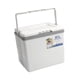 thumbnail image 4 of Nevera Portátil Hermética Para Coche, Caja Aislante Para Acampar, Pescar Y Playa, 10 L, 4 of 5