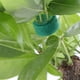 thumbnail image 2 of 2 rollos de cinta de velcro de nailon reutilizable para plantas de jardín, tomates, flores o verduras en bancales elevados, 10 mm x 10 m, verde, 2 of 5