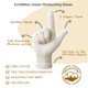 thumbnail image 4 of Guantes hidratantes de algodón Evridwear, ligeros, unisex, talla XS, 4 of 8
