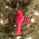 thumbnail image 2 of Adorno romano navideño con forma de cardenal rojo brillante, resina, 10 x 8 cm, 2 of 7