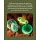 thumbnail image 3 of Chupete De Silicona Nightglow 6 18 Meses, 3 of 3