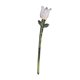 thumbnail image 2 of Flor De Vidrio Coleccionable, Arte Artesanal, Flor Artificial Para Su Aniversario, Mamá, 7,5 X 1,2 Cm, Rosa Y Blanco, 2 of 5