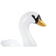 thumbnail image 2 of Isla Flotante Cisne, 2 of 6
