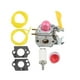 thumbnail image 5 of Carburador Carb Garden Carburador Reemplaza Cortacésped Para PP28ld Para PP28RJ, 5 of 5