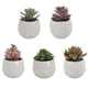 thumbnail image 2 of Planta suculenta artificial, 2 of 4