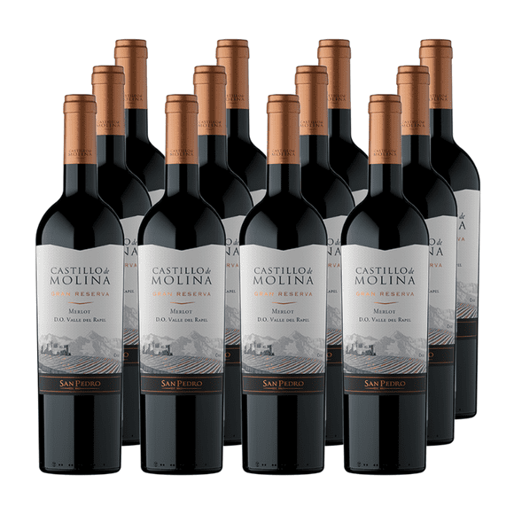 Vino Castillo de Molina Gran Reserva Merlot 750cc x12
