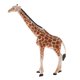 thumbnail image 3 of Simulación Animal Modelo Juguetes Educativos Para Ni?os Giraffe PL127-413, 3 of 5