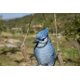thumbnail image 5 of Figura Colgante de Arrendajo Azul Hi-Line Gift en Poliresina, 5 of 8