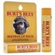 thumbnail image 3 of Bálsamo Labial De Cera De Abejas Con Ampolla De Vitamina E Y Menta De Para Unisex Ampolla De Bálsamo Labial De 0 15 Oz, 3 of 4