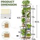 thumbnail image 3 of Bamworld Plant Stand con luz de cultivo para plantas de interior, esquinero, 3 of 3