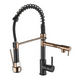 thumbnail image 1 of Labalaos Grifo Llave Lavaplatos Cocina Extensible Triple Cepillado Negro, 1 of 3