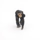 thumbnail image 4 of Figura de Juguete Papo de Chimpancé con Bebé – Colección Vida Salvaje, 3+, 4 of 8