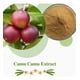 thumbnail image 5 of Camu Camu 100g Sin Gluten Vegano Biov Camu Camu, 5 of 6