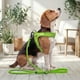 thumbnail image 2 of Correa De Paseo Petlounge Easy Glam Mascotas Perros 1.5m verde, 2 of 9